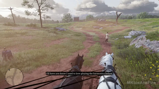 RDR 2 cheats open world map awareness on Red Dead Redemption 2 PC